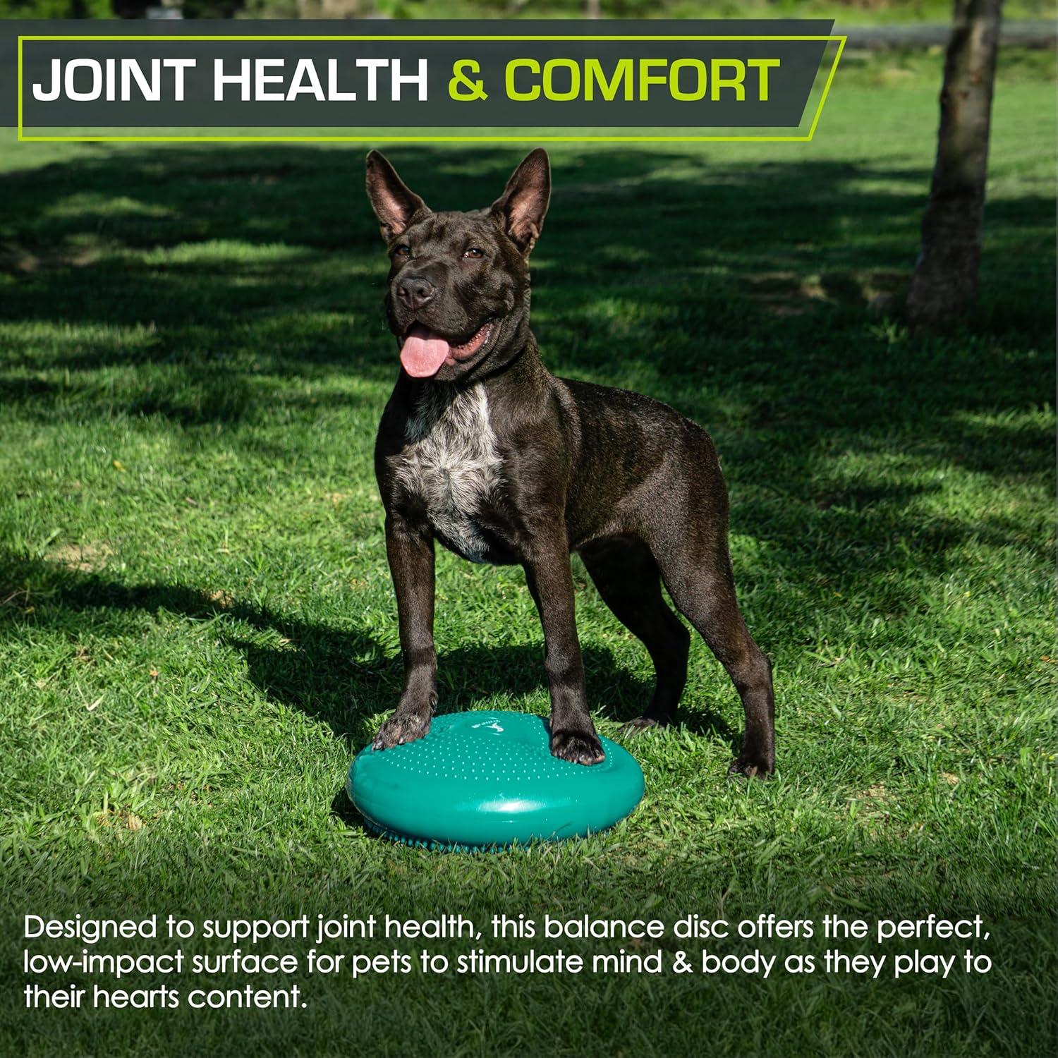 image:imageProsourceFit Core Balance Disc Trainer 14 Diameter with Pump for Improving Posture Fitness Stability