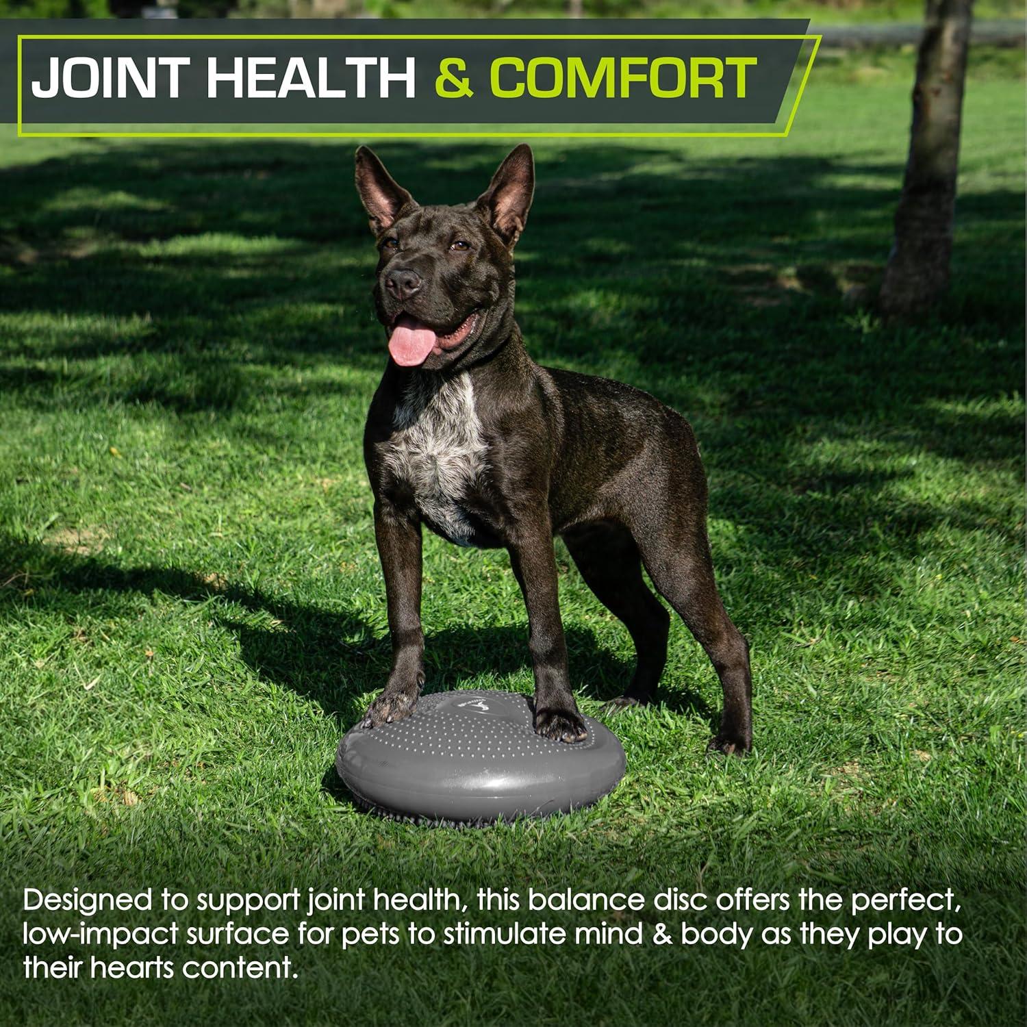 image:imageProsourceFit Core Balance Disc Trainer 14 Diameter with Pump for Improving Posture Fitness StabilityGrey
