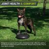 ProsourceFit Core Balance Disc Trainer, 14” Diameter with Pump for Improving Posture, Fitness, Stability(Black)