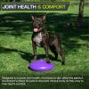 ProsourceFit Core Balance Disc Trainer, 14” Diameter with Pump for Improving Posture, Fitness, Stability(Purple)