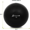 ProsourceFit Stability Exercise Ball with Foot Pump, Black 55, 65, 75 cm, Anti-Burst up to 2,000 lb. for Fitness, Pilates, Balance, and Yoga