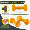 ProsourceFit Neoprene Dumbbell Coated for Non-Slip Grip, 6 lb