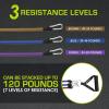 ProsourceFit Single Stackable Resistance Bands with Door Anchor and Exercise Guide, 8-12 LB, Heavy Duty Fitness Tube for Full-Body Exercises and Home Workouts
