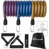 ProsourceFit Single Stackable Resistance Bands with Door Anchor and Exercise Guide, 8-12 LB, Heavy Duty Fitness Tube for Full-Body Exercises and Home Workouts